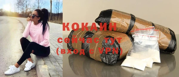 сатива Баксан