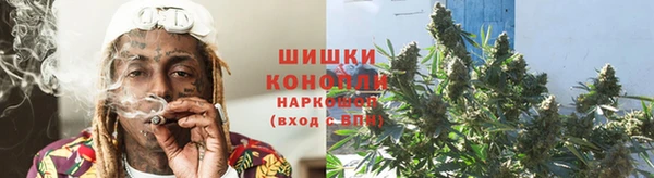 сатива Баксан