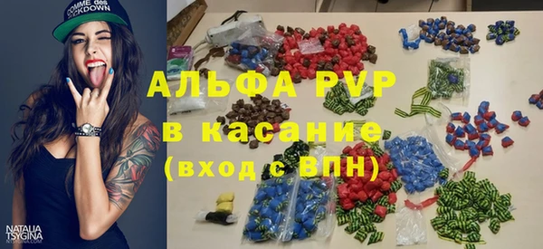 сатива Баксан