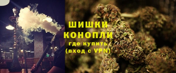 сатива Баксан