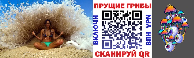 Галлюциногенные грибы MAGIC MUSHROOMS где купить Вилюйск